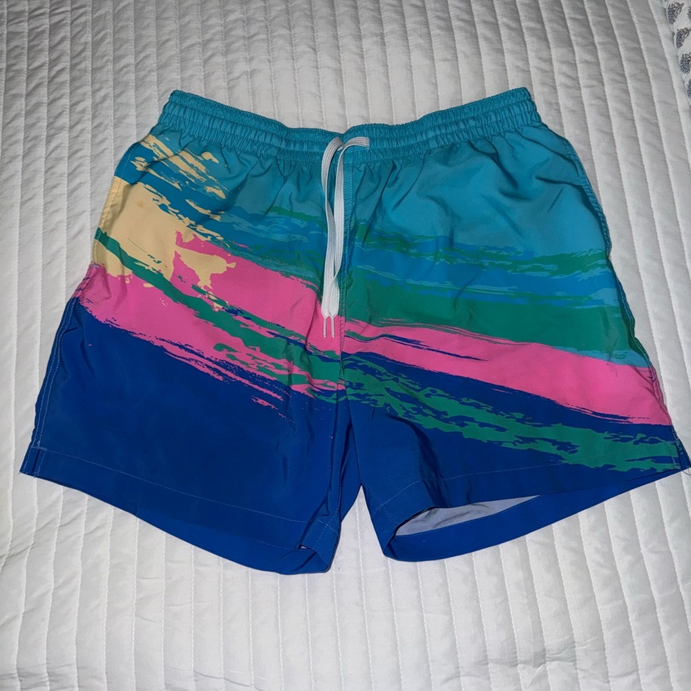 Chubbies Vibrant Multicolor Swim Shorts